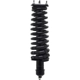 Purchase Top-Quality MACPHERSON RIDE CONTROL - MP1335793 - Strut and Coil Spring Assembly pa1