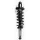 Purchase Top-Quality MACPHERSON RIDE CONTROL - MP1345750 - Strut and Coil Spring Assembly pa1