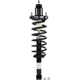 Purchase Top-Quality MONROE - 181126 - Rear Complete Strut Assembly pa5