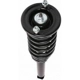 Purchase Top-Quality Rear Complete Strut Assembly by PRT - 710077 pa3