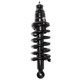 Purchase Top-Quality PRT - 710139 - Suspension Strut and Coil Spring Assembly pa1