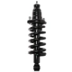 Purchase Top-Quality PRT - 710139 - Suspension Strut and Coil Spring Assembly pa2