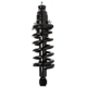 Purchase Top-Quality PRT - 710140 - Rear Driver Side Strut Assembly pa2