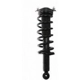 Purchase Top-Quality Rear Complete Strut Assembly by PRT - 710310 pa1