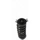 Purchase Top-Quality Rear Complete Strut Assembly by PRT - 710310 pa3