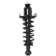 Purchase Top-Quality PRT - 710373 - Suspension Strut and Coil Spring Assembly pa2