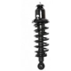 Purchase Top-Quality Rear Complete Strut Assembly by PRT - 710374 pa1
