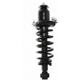 Purchase Top-Quality Rear Complete Strut Assembly by PRT - 710374 pa2