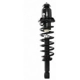Purchase Top-Quality Rear Complete Strut Assembly by PRT - 710421 pa4