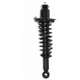 Purchase Top-Quality Rear Complete Strut Assembly by PRT - 710423 pa1