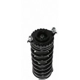 Purchase Top-Quality Rear Complete Strut Assembly by PRT - 710770 pa3