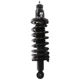 Purchase Top-Quality PRT - 710789 - Suspension Strut and Coil Spring Assembly pa1