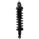Purchase Top-Quality PRT - 710862 - Suspension Strut and Coil Spring Assembly pa1