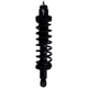Purchase Top-Quality PRT - 710866 - Suspension Strut and Coil Spring Assembly pa1