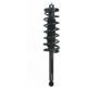 Purchase Top-Quality Rear Complete Strut Assembly by PRT - 711010 pa1