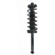 Purchase Top-Quality Rear Complete Strut Assembly by PRT - 711010 pa2