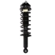 Purchase Top-Quality PRT - 711011 - Suspension Strut and Coil Spring Assembly pa1