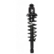 Purchase Top-Quality Rear Complete Strut Assembly by PRT - 711233 pa1