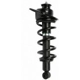 Purchase Top-Quality Rear Complete Strut Assembly by PRT - 711355 pa1
