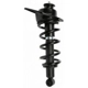 Purchase Top-Quality Rear Complete Strut Assembly by PRT - 711356 pa1