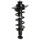 Purchase Top-Quality Rear Complete Strut Assembly by PRT - 711356 pa2