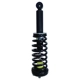 Purchase Top-Quality PRT - 711395 - Suspension Strut and Coil Spring Assembly pa1