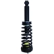 Purchase Top-Quality PRT - 711395 - Suspension Strut and Coil Spring Assembly pa2