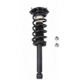 Purchase Top-Quality Rear Complete Strut Assembly by PRT - 712161 pa1