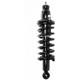 Purchase Top-Quality Rear Complete Strut Assembly by PRT - 713005 pa1