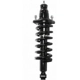 Purchase Top-Quality Rear Complete Strut Assembly by PRT - 713005 pa2