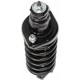 Purchase Top-Quality Rear Complete Strut Assembly by PRT - 713005 pa3