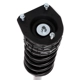 Purchase Top-Quality PRT - 713123 - Suspension Strut and Coil Spring Assembly pa3