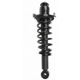 Purchase Top-Quality Rear Complete Strut Assembly by PRT - 713391 pa1