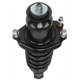 Purchase Top-Quality Rear Complete Strut Assembly by PRT - 713391 pa2
