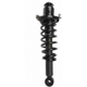 Purchase Top-Quality Rear Complete Strut Assembly by PRT - 713391 pa4