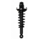 Purchase Top-Quality Rear Complete Strut Assembly by PRT - 713392 pa1