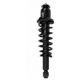 Purchase Top-Quality Rear Complete Strut Assembly by PRT - 713392 pa2