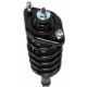 Purchase Top-Quality Rear Complete Strut Assembly by PRT - 713398 pa3