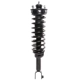 Purchase Top-Quality PRT - 810110 - Suspension Strut and Coil Spring Assembly pa1