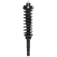 Purchase Top-Quality PRT - 810110 - Suspension Strut and Coil Spring Assembly pa2