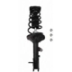 Purchase Top-Quality Rear Complete Strut Assembly by PRT - 810406 pa1