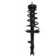 Purchase Top-Quality Rear Complete Strut Assembly by PRT - 810409 pa1