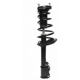 Purchase Top-Quality Rear Complete Strut Assembly by PRT - 810409 pa2