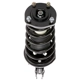 Purchase Top-Quality PRT - 813074 - Suspension Strut and Coil Spring Assembly pa3