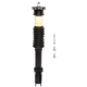Purchase Top-Quality PRT - 814034 - Suspension Strut and Coil Spring Assembly pa1