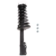 Purchase Top-Quality PRT - 814135 - Suspension Strut and Coil Spring Assembly pa1