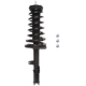 Purchase Top-Quality PRT - 814135 - Suspension Strut and Coil Spring Assembly pa2