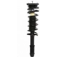 Purchase Top-Quality Rear Complete Strut Assembly by PRT - 814319 pa1