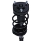 Purchase Top-Quality PRT - 814395 - Suspension Strut and Coil Spring Assembly pa3
