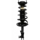 Purchase Top-Quality Rear Complete Strut Assembly by PRT - 814766 pa1